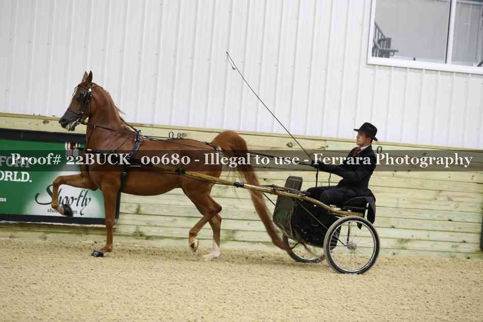 Proof 22BUCK_00680
