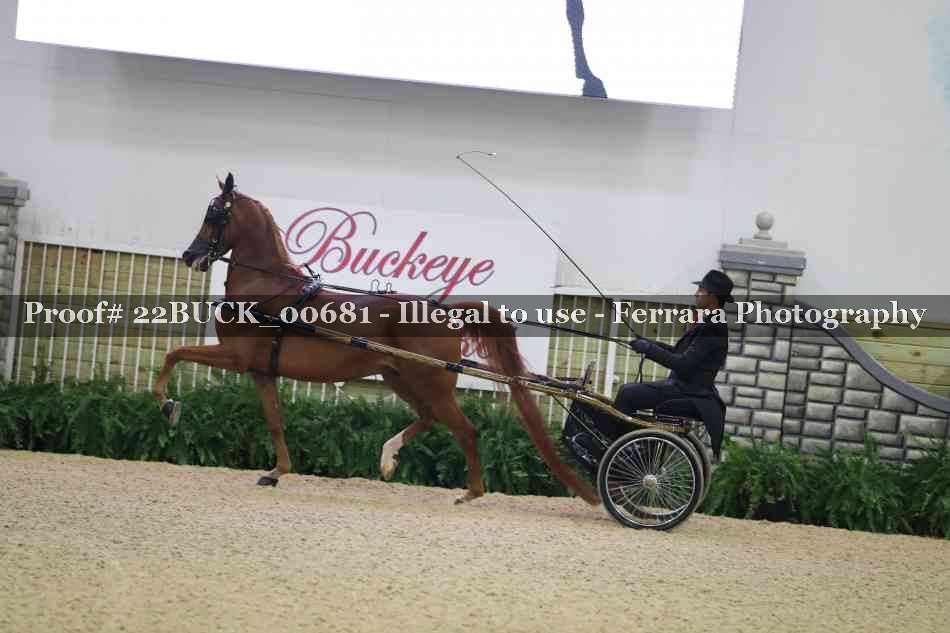 Proof 22BUCK_00681