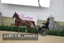 22BUCK_00681 proof