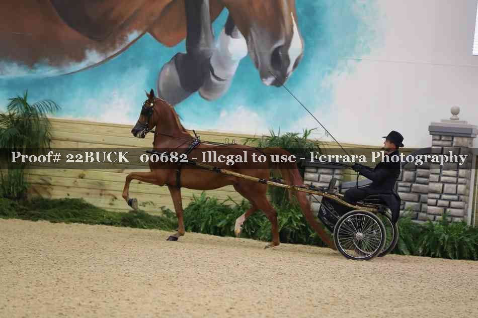 Proof 22BUCK_00682