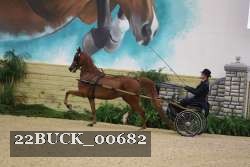 22BUCK_00682 proof