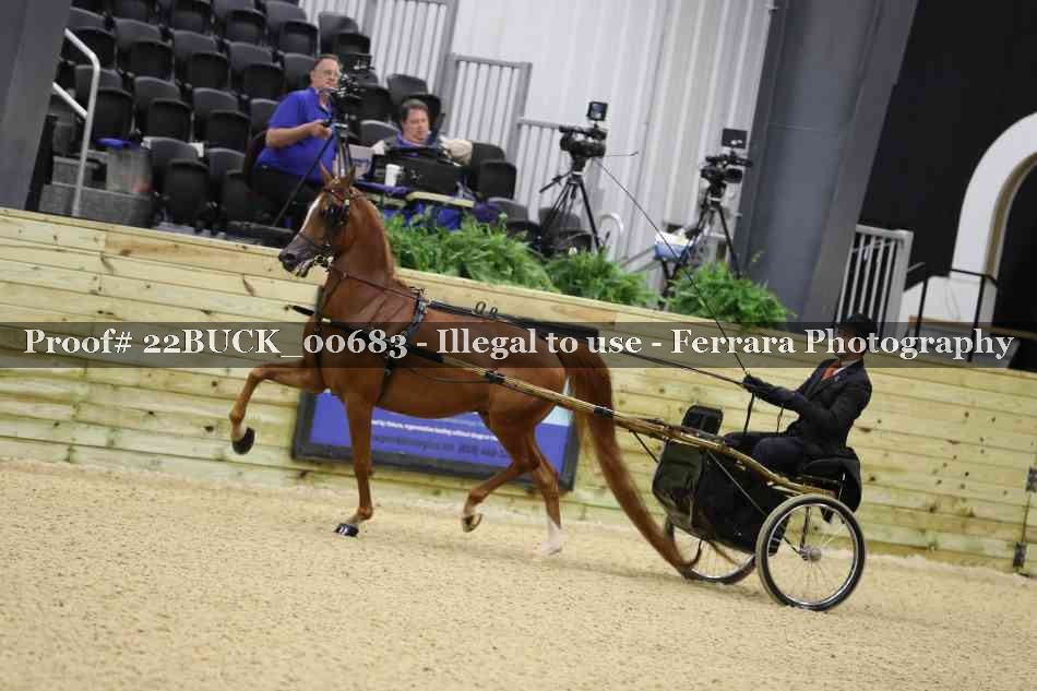 Proof 22BUCK_00683