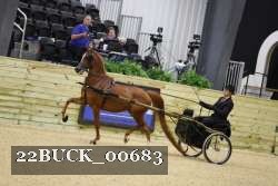 22BUCK_00683 proof