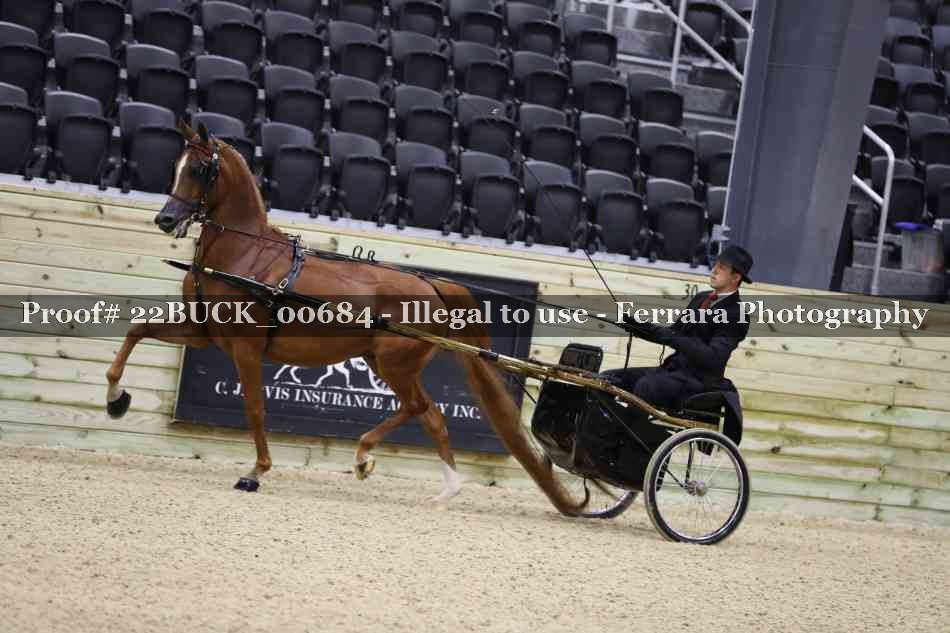 Proof 22BUCK_00684
