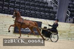 22BUCK_00684 proof