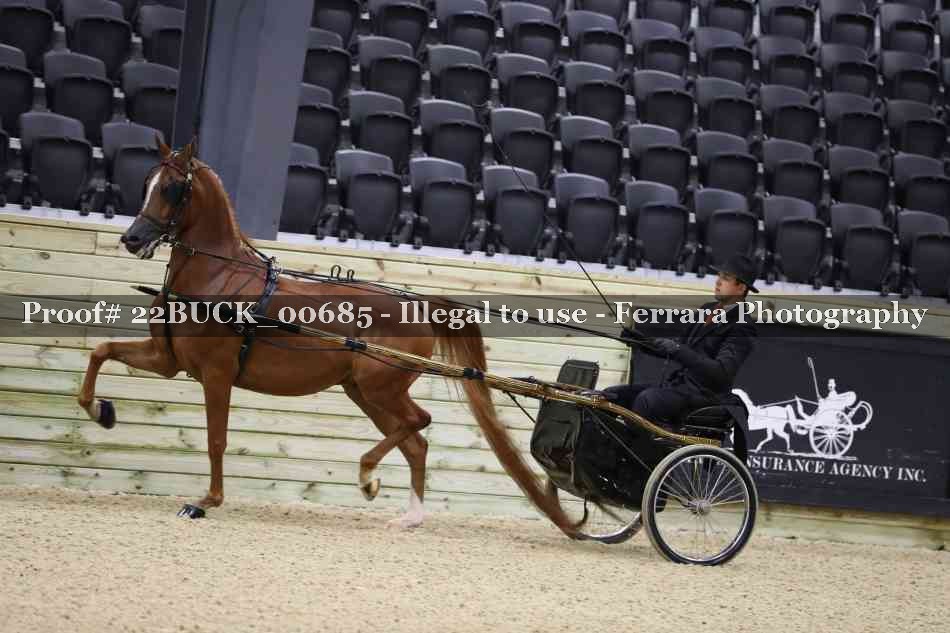 Proof 22BUCK_00685