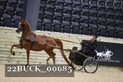 22BUCK_00685 proof