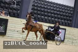 22BUCK_00686 proof
