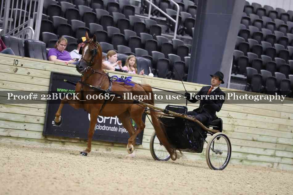Proof 22BUCK_00687
