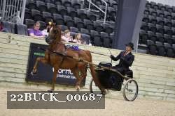 22BUCK_00687 proof