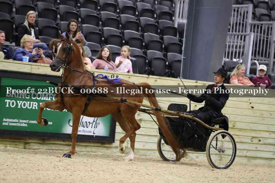 Proof 22BUCK_00688