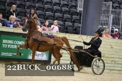 22BUCK_00688 proof