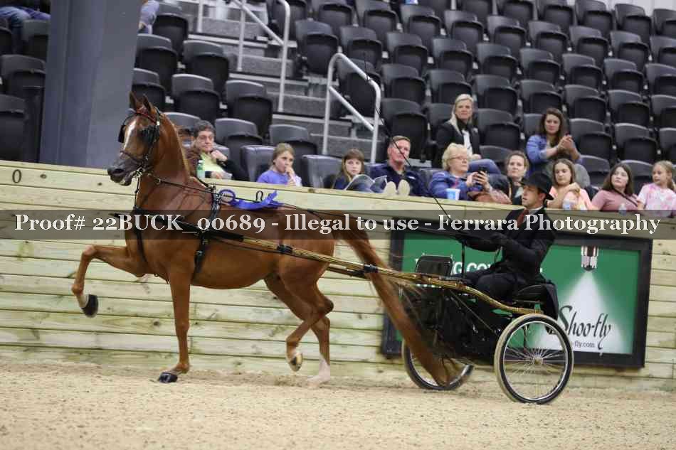 Proof 22BUCK_00689