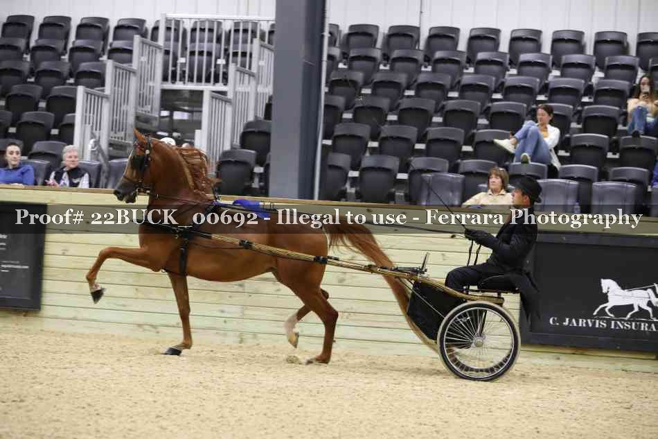 Proof 22BUCK_00692
