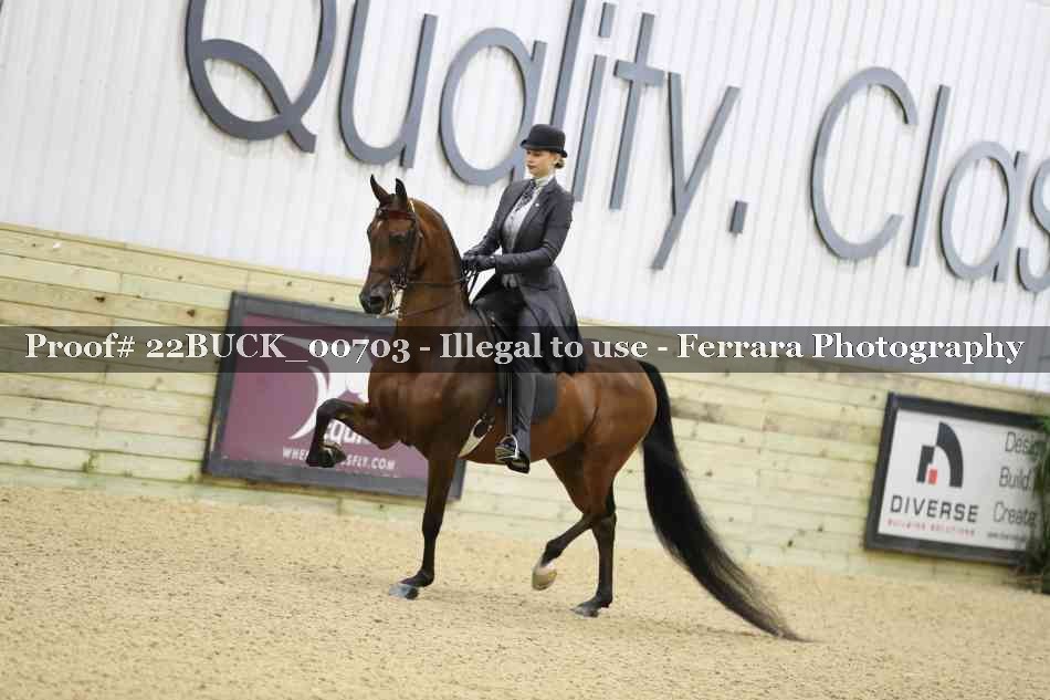 Proof 22BUCK_00703