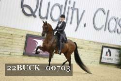 22BUCK_00703 proof