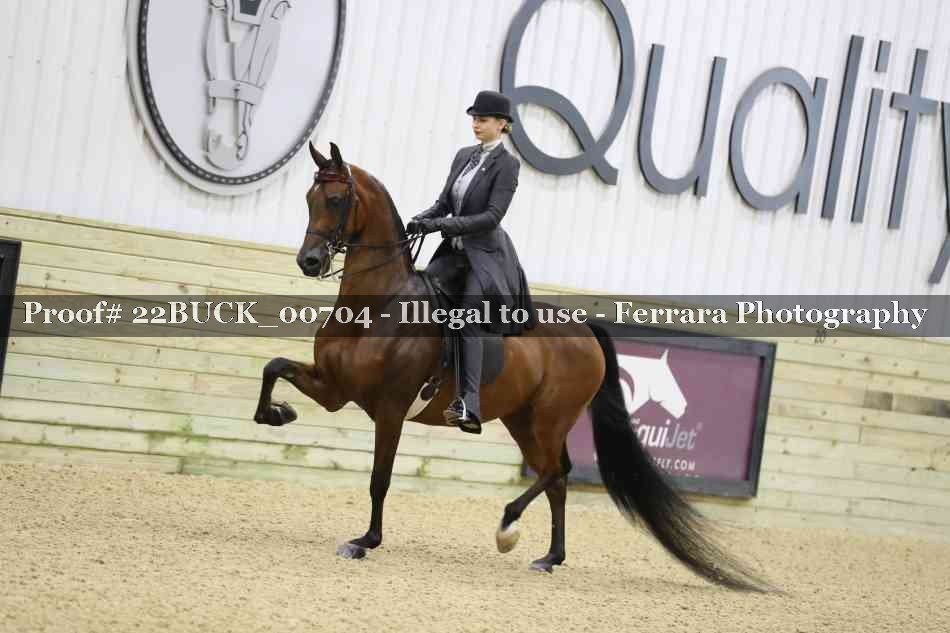 Proof 22BUCK_00704