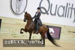 22BUCK_00704 proof
