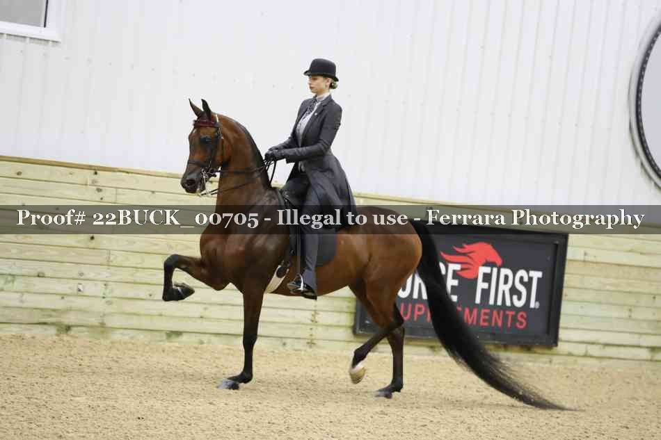 Proof 22BUCK_00705