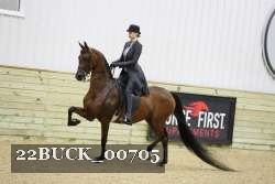 22BUCK_00705 proof