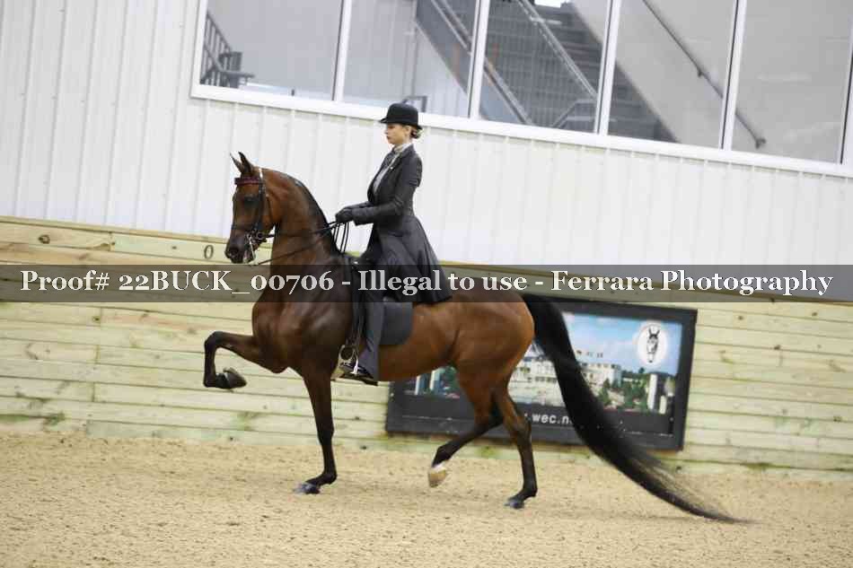 Proof 22BUCK_00706