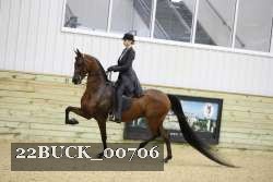 22BUCK_00706 proof