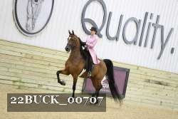 22BUCK_00707 proof