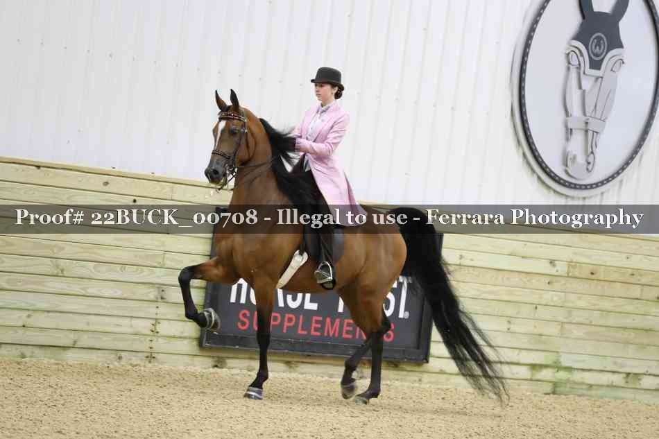 Proof 22BUCK_00708