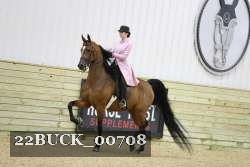 22BUCK_00708 proof