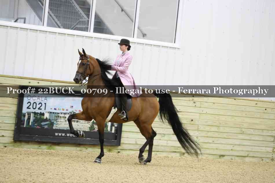 Proof 22BUCK_00709