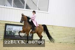 22BUCK_00709 proof