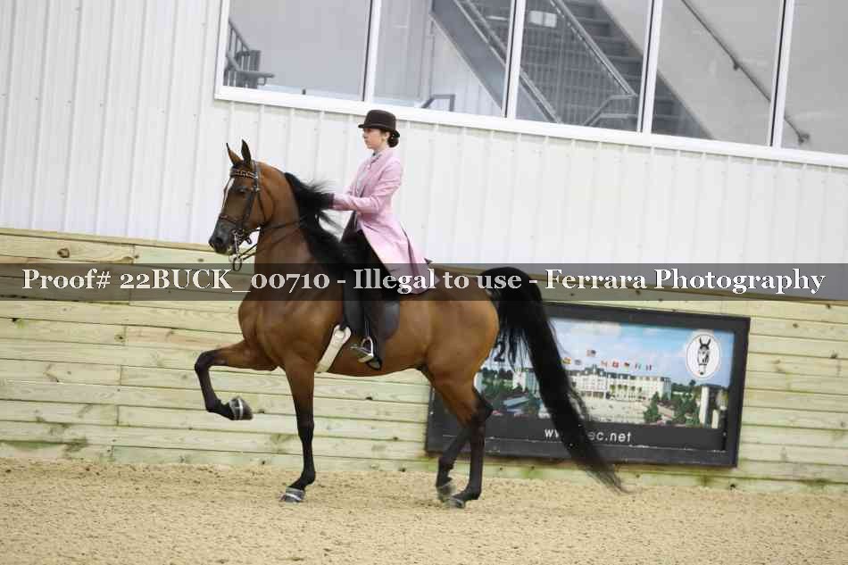 Proof 22BUCK_00710