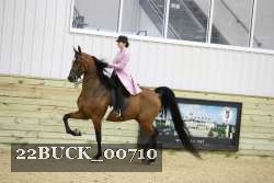 22BUCK_00710 proof