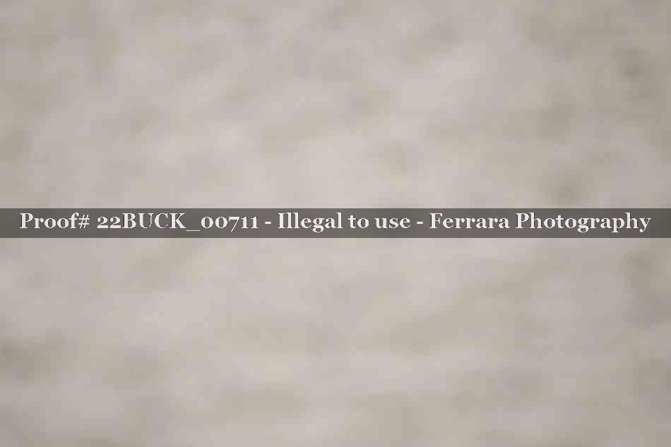 Proof 22BUCK_00711