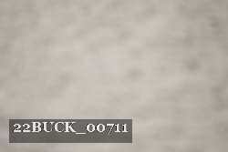 22BUCK_00711 proof