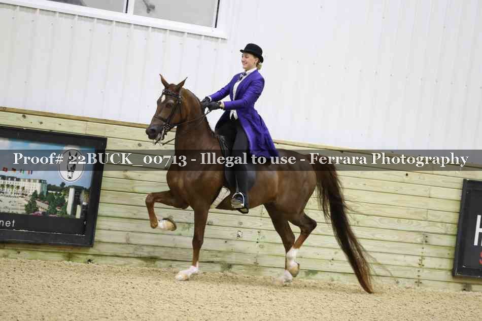 Proof 22BUCK_00713