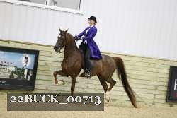 22BUCK_00713 proof