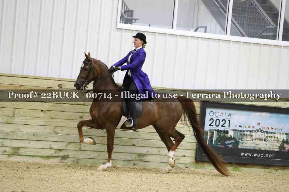 Proof 22BUCK_00714