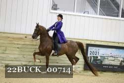 22BUCK_00714 proof