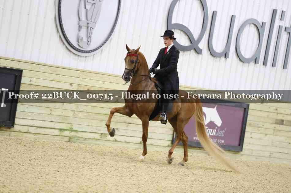 Proof 22BUCK_00715