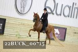 22BUCK_00715 proof