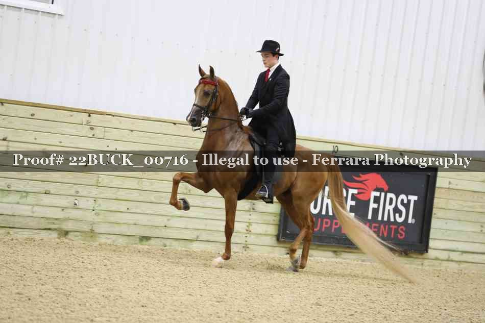 Proof 22BUCK_00716