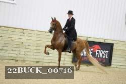 22BUCK_00716 proof