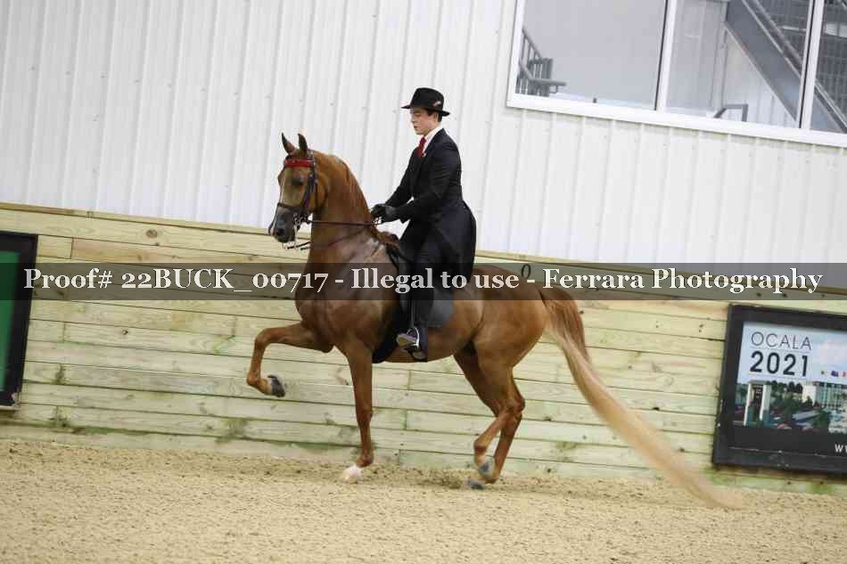 Proof 22BUCK_00717