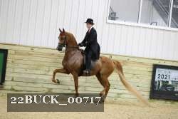 22BUCK_00717 proof