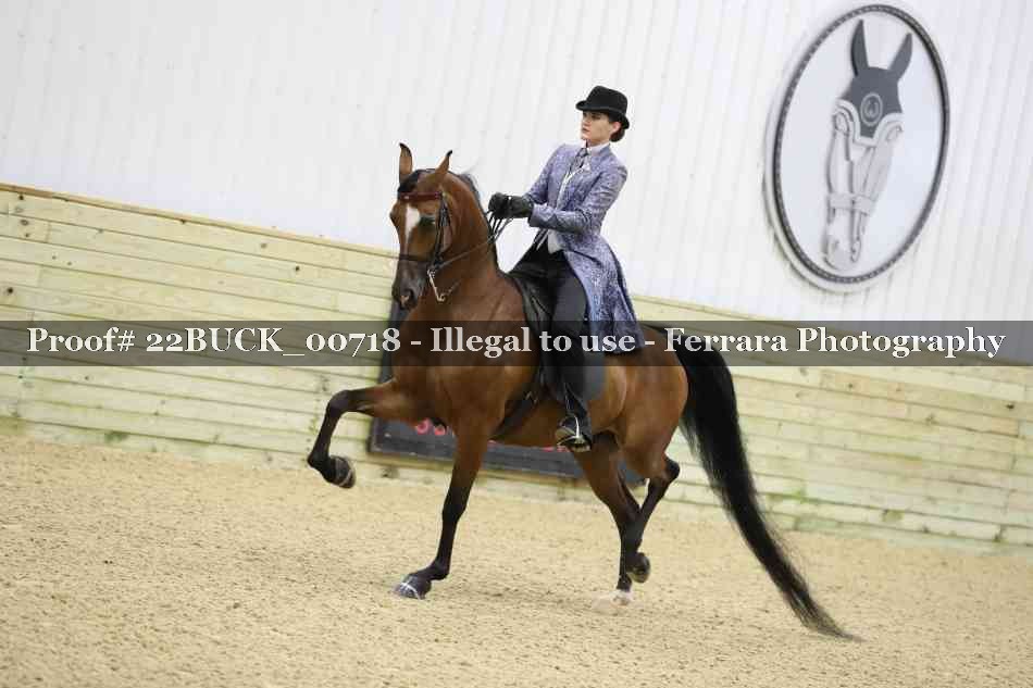 Proof 22BUCK_00718