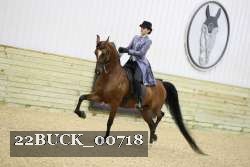 22BUCK_00718 proof
