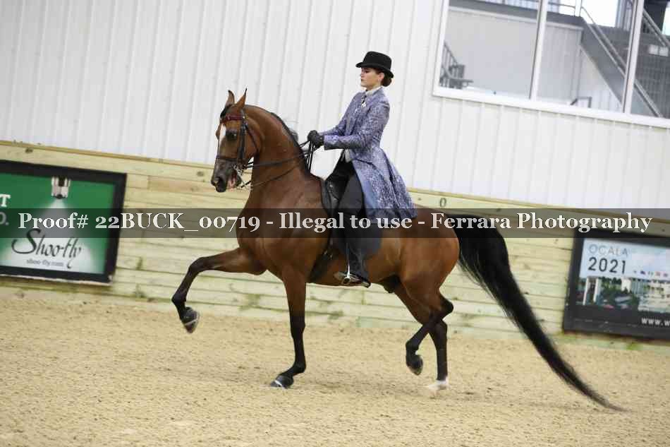 Proof 22BUCK_00719