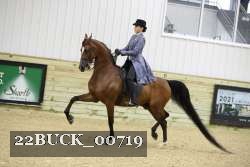 22BUCK_00719 proof