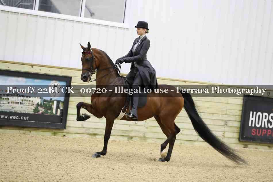 Proof 22BUCK_00720